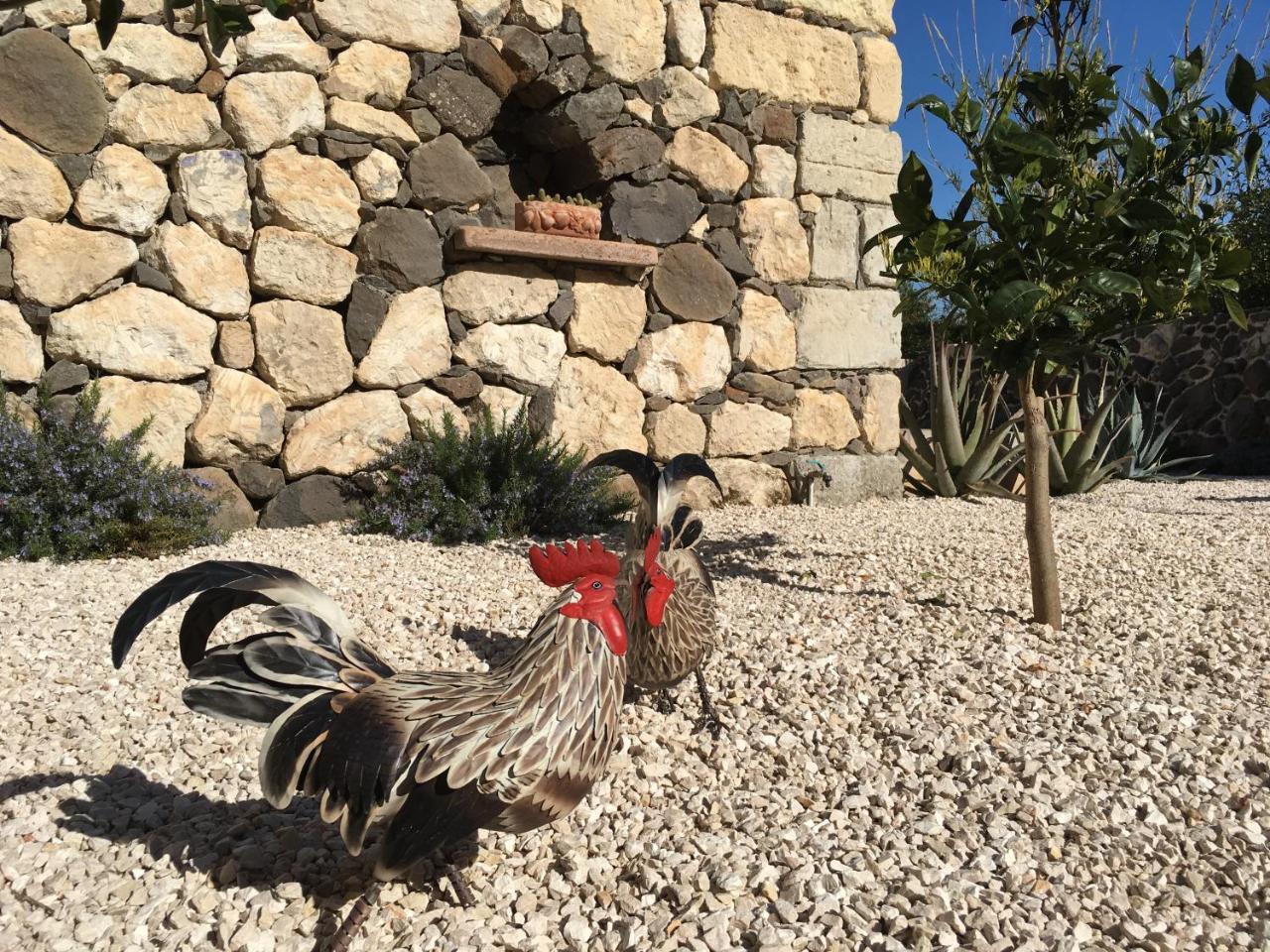 La Petite Maison Tresnuraghes ภายนอก รูปภาพ